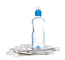 Image showing Dollars and water
