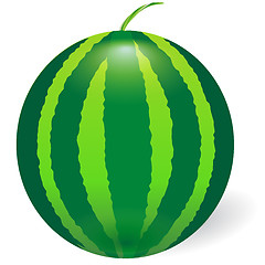 Image showing water melon