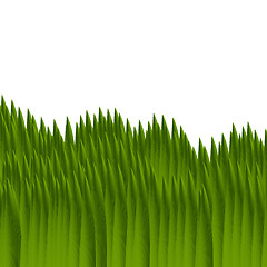 Image showing green grass