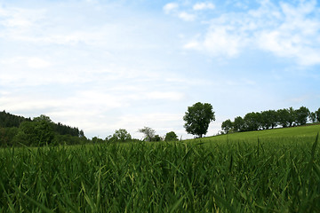 Image showing Quiet Spring landscape