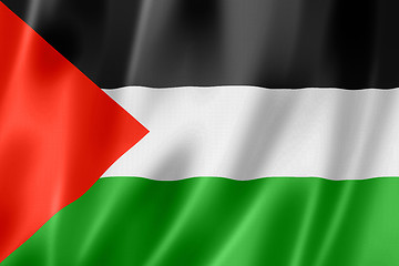 Image showing Palestinian flag