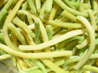 Image showing Common bean