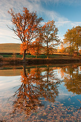 Image showing Autumn river