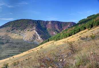 Image showing gorges in Trascau mountains