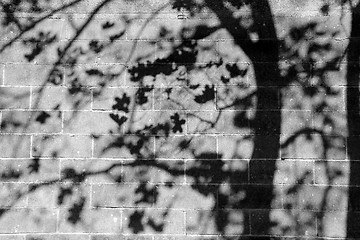 Image showing Shadows on the Wall - Halloween