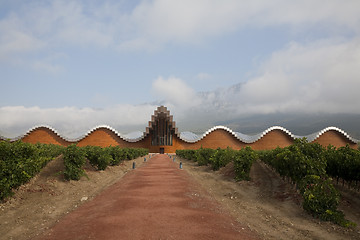 Image showing Winery behind vineyard