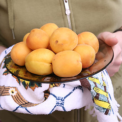 Image showing Organic apricots