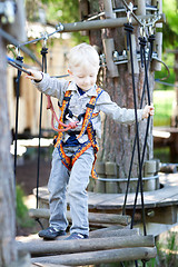 Image showing little boy at a canopy tour