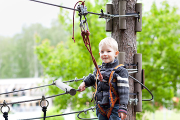 Image showing little boy at a canopy tour