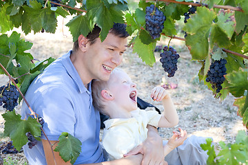 Image showing father and son eating grapes