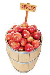 Image showing Apple Barrel