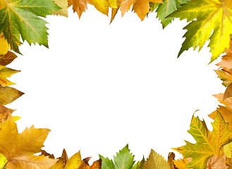 Image showing Border of autumn leaves