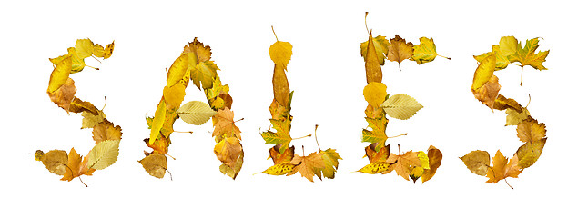 Image showing Text Sales made of autumn leaves.