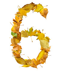 Image showing Number six made of autumn leaves.