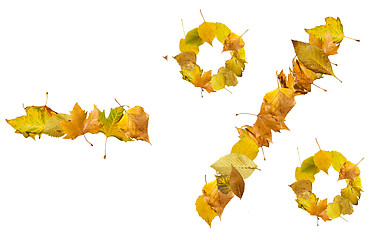 Image showing Autumn leaves