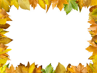 Image showing Border of autumn leaves