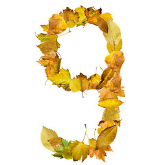 Image showing Number nine made of autumn leaves.