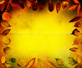 Image showing Border of autumn leaves