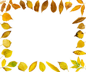 Image showing Border of autumn leaves