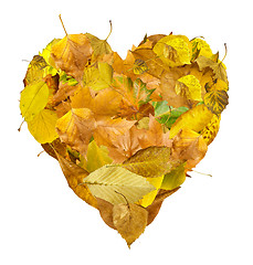 Image showing Heart made of autumn leaves