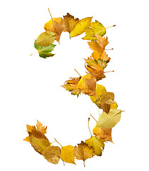 Image showing Number three made of autumn leaves.