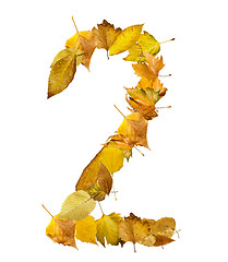 Image showing Number Two made of autumn leaves.