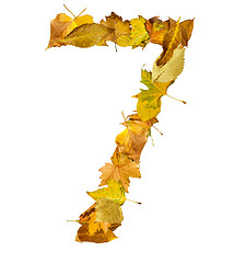 Image showing Number seven made of autumn leaves.