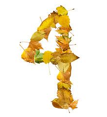 Image showing Number four made of autumn leaves.