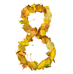 Image showing Number eight made of autumn leaves.