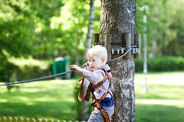 Image showing little boy at a canopy tour