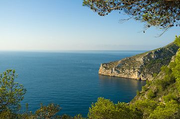 Image showing Forested coast