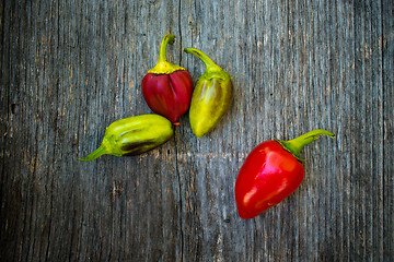 Image showing Red paprika