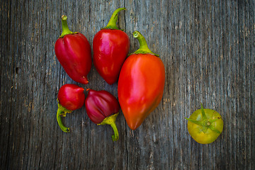 Image showing Capsicum and tomato