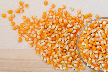 Image showing Corn for popcorn