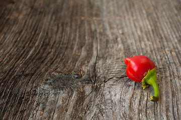 Image showing Red paprika