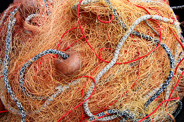 Image showing Commercial fishing net