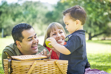 Image showing Mixed Race Family Enjoy a Picnic At The Park