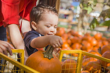 Image showing Happy Mixed Race Family at the Pumpkin Patch