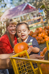Image showing Happy Mixed Race Family at the Pumpkin Patch