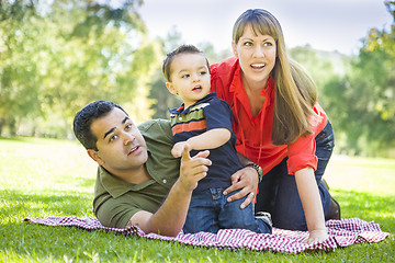 Image showing Mixed Race Family Enjoy a Day at The Park