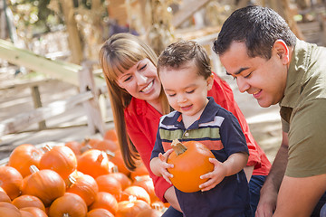 Image showing Happy Mixed Race Family at the Pumpkin Patch