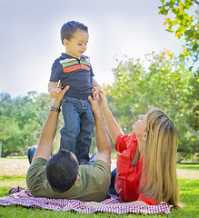 Image showing Mixed Race Family Enjoy a Day at The Park