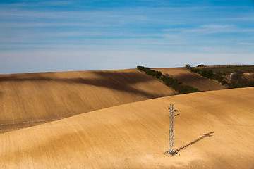 Image showing Landscape in the wine region 