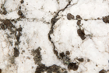 Image showing quartz stone in nature. texture