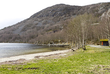 Image showing trees with grassland and mountains