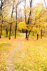 Image showing autumn park