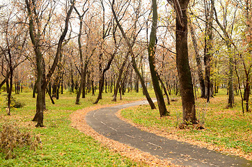 Image showing autumn park