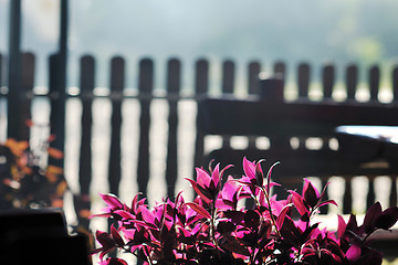 Image showing colorful balcony with flowers