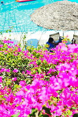 Image showing romantic balcony with flowers and pool view