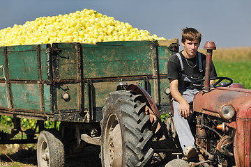 Image showing agriculture worker with fresh vegetables